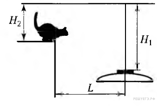 Находящийся на шкафу кот массой 3 кг запрыгивает на светильник расположенный на расстоянии 100 см